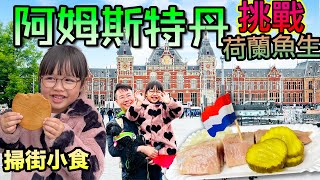 荷蘭阿姆斯特丹🇳🇱掃街食不停🍟🧇國民美食 生鯡魚🍣 Holland Amsterdam Herring