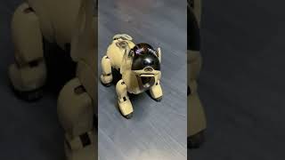 Another saved Entertainment Robot Dog Sony AIBO ERS-7
