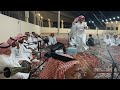 خبيتي الفنان عزام اللقماني خبيتي الفنان عزام اللقماني