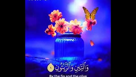 سورة الضحى و الشرح و التين (من الختمة الكاملة برواية حفص عن عاصم) للقارئ احمد