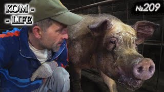 видео: О том, как ХРЯК приставал! картинка: О том, как ХРЯК приставал!