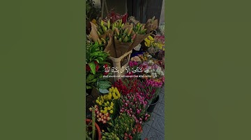 القارئ : سالم الرّويلي