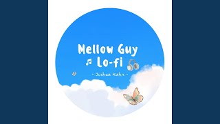 47 -- Lofi