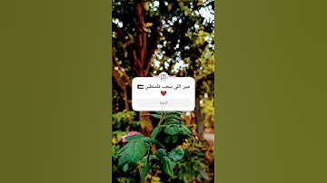 فلسطين حره 😭😭 قران كريم ❤️👍