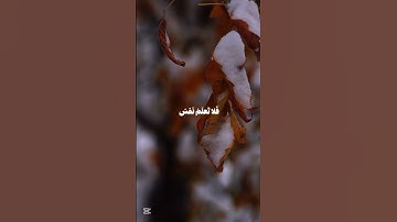 سورة السجدة🤍🌹 #قرآن #قران_كريم #العرب #ناصر_القطامي #راحة_نفسية #اكسبلور #سورة_السجدة