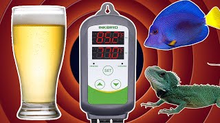 Inkbird Itc-308 And Why You Need It...