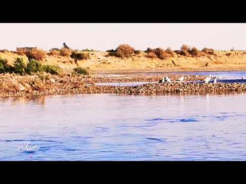 ياطيور محنا مري بينا بسام رحيل ريف رقة مناظر خيال