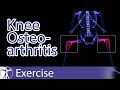 Strength Training Program in Knee Osteoarthritis Rehabilitation