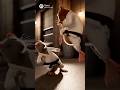 Rats karate fight judo jujitsu #rat #martialarts #judo #juijitsu #karate #kungfu #aianimation