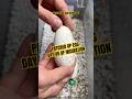 Our patched up egg surprisingly doesn’t look too bad! #molinarosnakelab #ballpython #leakyegg #diy