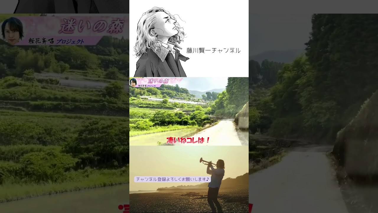 迷いの森🌳田植えに挑戦🌱香美市平山地区⛰️01