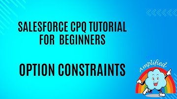 Salesforce CPQ Option Constraints