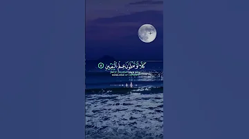 سورة التكاثر ماهر المعيقلي 