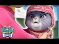 フルエピソード | おやつだいピンチ/ゆきやまであそぼう | パウ・パトロール公式