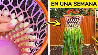 Trucos de Jardinería para Todos los Niveles de Habilidad 👨‍🌾