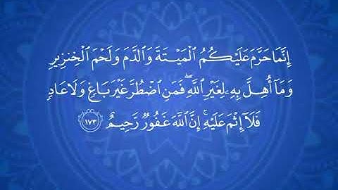 فاصل 5 في حب رسول الله قناة المجد للقرآن الكريم 2002 - 2004