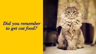 50 Incredibly Fluffy Cats That Look Too Soft to Be Real screenshot 5