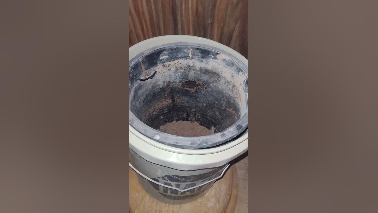 Basic Composting Toilet YouTube