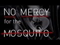 No mercy for the mosquito