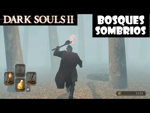 Vídeo: Dark Souls 2 - El Bosque Sombreado, Niebla, Escorpión, Rana, Gesto De Alegría