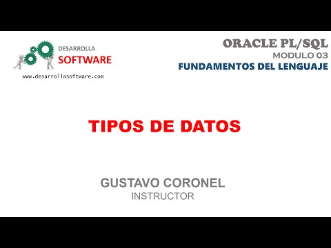 Video: ¿Cuáles son los tipos de datos en PL SQL?