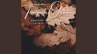 Tidal Tranquility for Pets