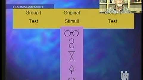 PSYC 1300 LECTURE 22