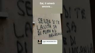 Le notti sono solitarie, i giorni sono così tristi e continuo a pensare all’amore che abbiamo avuto.