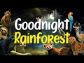 Goodnight rainforest  relaxing rain sounds  bedtime story for babies and toddlers 