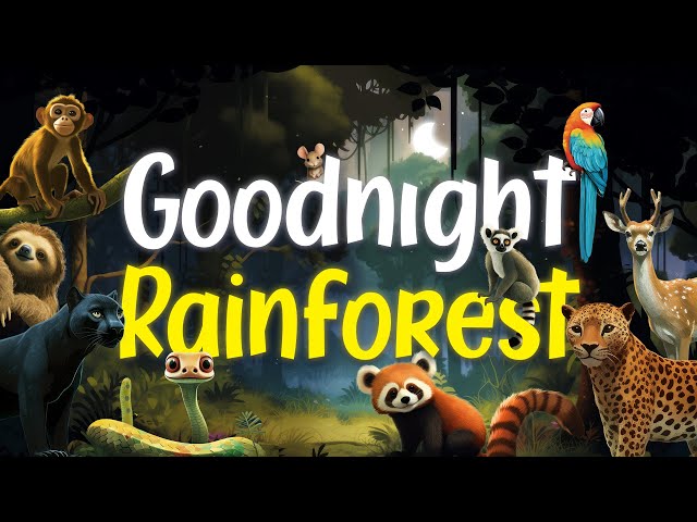 Goodnight Rainforest | Relaxing Rain Sounds | Bedtime Story for Babies and Toddlers 🦜 class=