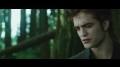 Video for The Twilight Saga: New Moon