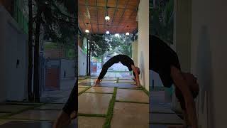 Хатха-йога: баланс силы и гибкости