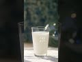 From Lebanon to You: Massaya Arak Experience