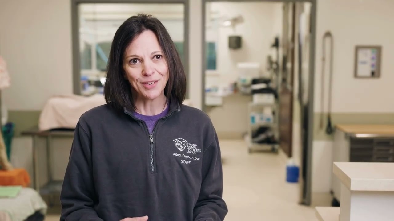 Second Chance Program 2025 - Plankton, Butch, and T-Bo