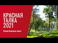 Красная Талка 2 (вторая береговая линия) 4* - Геленджик (2021)