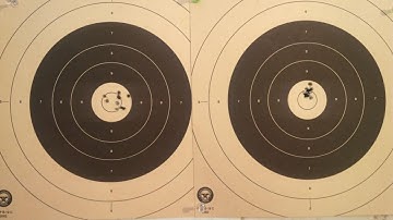 CZ 452 Varmint at 100 yards.