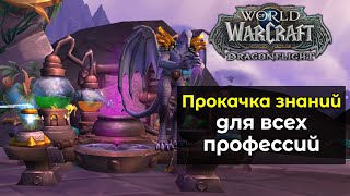 Полная прокачка знаний для всех профессий | World of Warcraft: DragonFlight 10.0