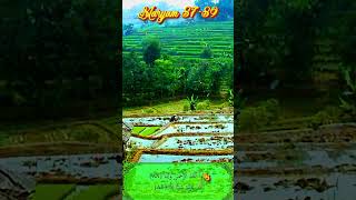 Qur'an Hafalan Surah Maryam 🌴🌾 87-89 🌾🌴 تحفيظ القرآن سُوۡرَةُ مَریَم @ Cisema Kabupaten Bandung