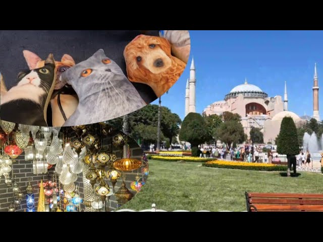 イスタンブールトルコランプと雑貨を買付け-シルバーアクセサリー