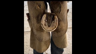 My Method of Horse/Hoof trimming Educational Demonstration, Satisfying/Barefoot/Trim