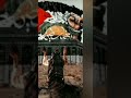 فلسطين منصورين الجيش المصري السيسي