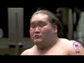 ROAD TO GLORY 8: Terunofuji's Road to Yusho number 8! 照ノ富士 春雄