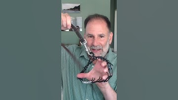 First Time Prong Collar! DogTraining #puppytraining