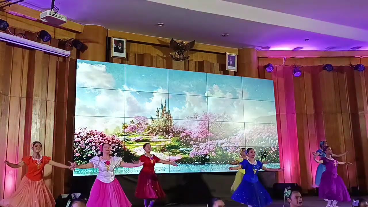 Ballet perfomance dancing 12  princesses