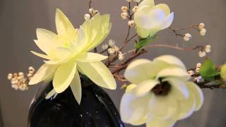 金華首席2分鐘音完成帶