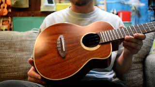 NEW/aNueNue UT110 GREEN BIRD Tenor【お茶の水店