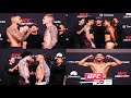 UFC Vegas 115 Pre Party