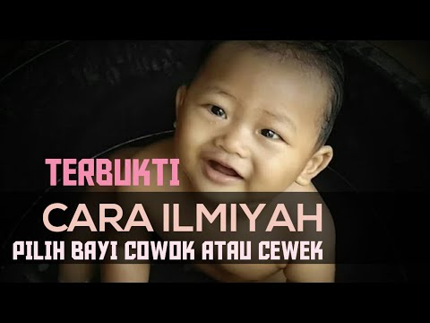 Cara Ilmiah Memperoleh Bayi  Laki  Laki  YouTube