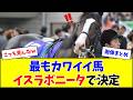 最もかわいい馬、イスラボニータで満場一致するw w w