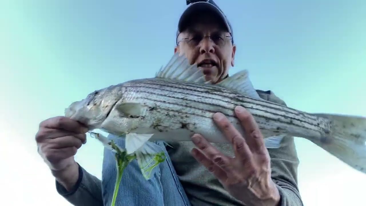 Jerkbait for Striped Bass Lake Del Valle YouTube